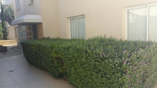 Panorama Court