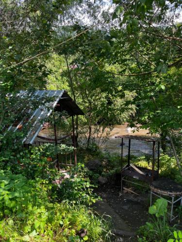 Gamma house in Kalavana