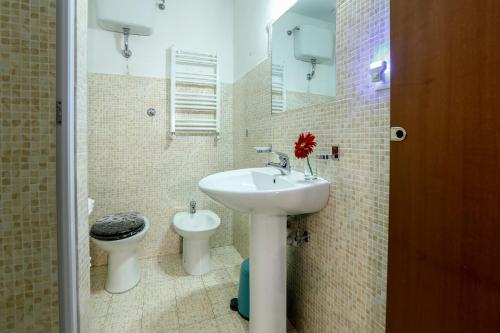 Vanella Rome Domus