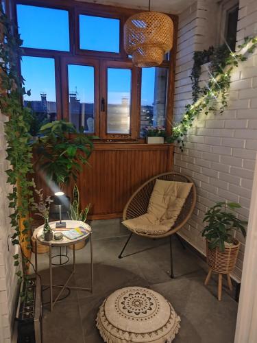 Balkons/terase, Apartman Kika Knjaževac (Apartman Kika Knjazevac) in Jalovik Izvor