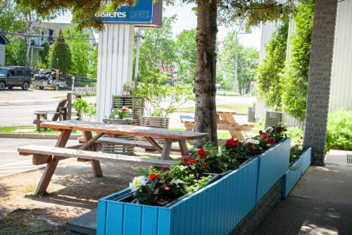 Motel de l'Anse a l'Eau in Tadoussac (Québec)