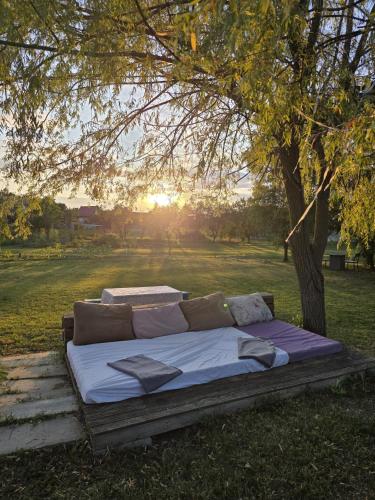 Lavander Garden Camping