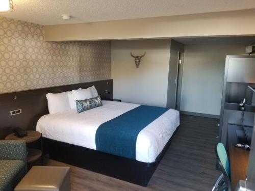 1 king bed