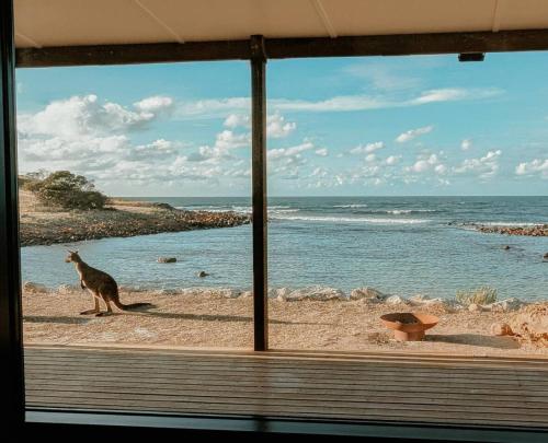 . Stones Throw: Beachfront Escape at Stokes Bay KI