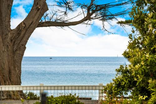 View, The Esplanade Indented Heads- Beach front, Luxury, Sleeps 8, Spacious, Aircon, Heating, in Indented Head