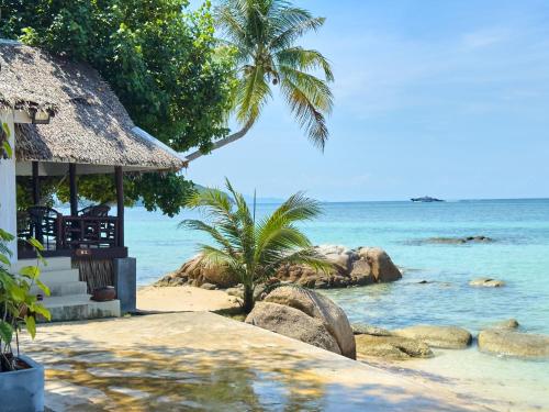 Ocean Vibes - เกาะพะงัน