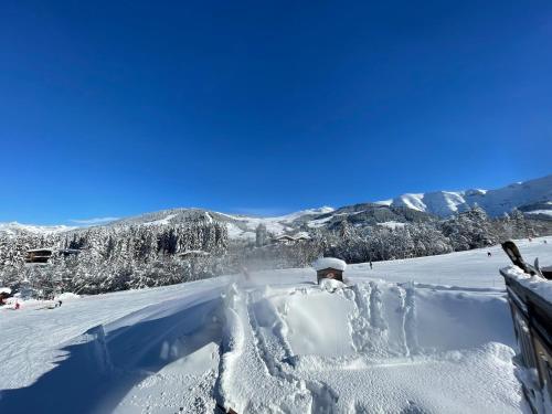 Appartamento sulle piste Apartment on the slopes