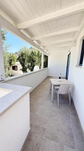 Residence Lido dei Pini 3