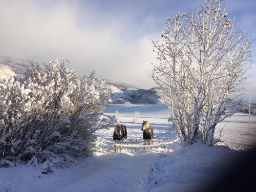  Els Torrents in Bellver de Cerdanya 