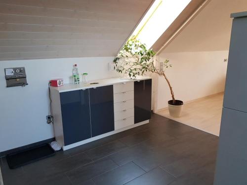 moderne 2-Zimmer Dachwohnung im Herzen der Rhon in Ostheim v.d. Rhon