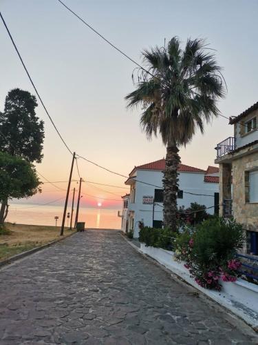Oasis - Lesvos