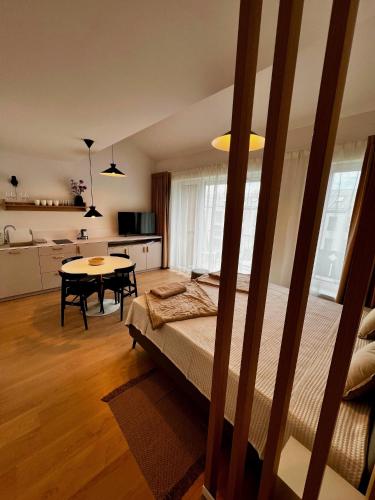 Luxury Gerlach Mountain Mezonet I in Gerlachov