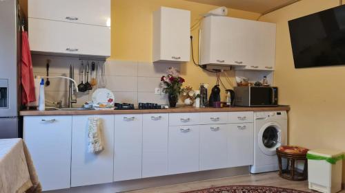 Casa cu gradina Untold-Electric Castle in Chinteni