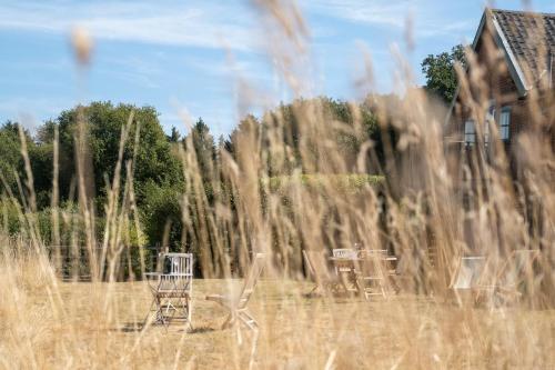 The Dairy House #Aldeburgh #SnapeMaltings - sleeps 11 - NOT SUITABLE FOR HENS OR STAGS OR ANY SIMILAR NOISY EVENTS DUE TO PROXIMITY OF NEIGHBOURS WHO VALUE THEIR PEACEFUL SETTING - Manage by Aldeburgh Coastal Cottages - image 5