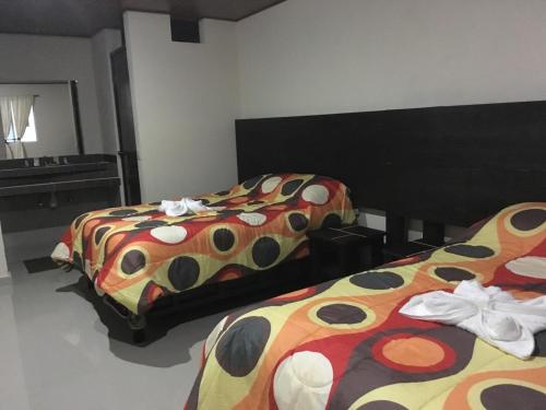 Viesnīcas āriene, Hotel Panamericano in San Nicolás De Ibarra
