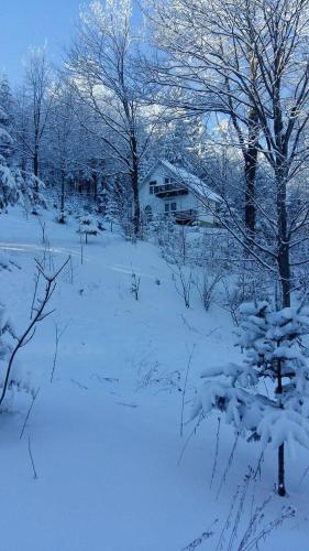 外部景觀, Șoaptele pădurii & Căsuța din pădure (Soaptele padurii & Casuta din padure) in 蘇切維察