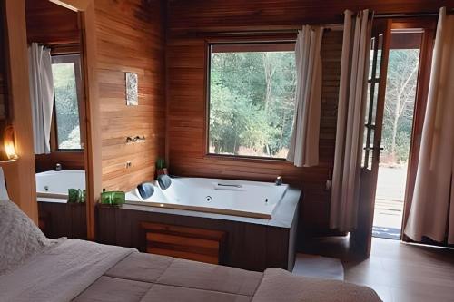 Cabana surucuã (Cabana surucua) in Tres Koroas