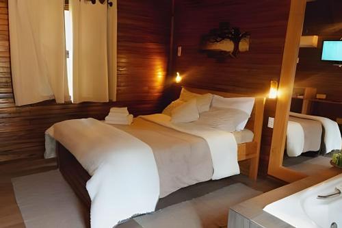 Cabana surucuã (Cabana surucua) in Tres Koroas