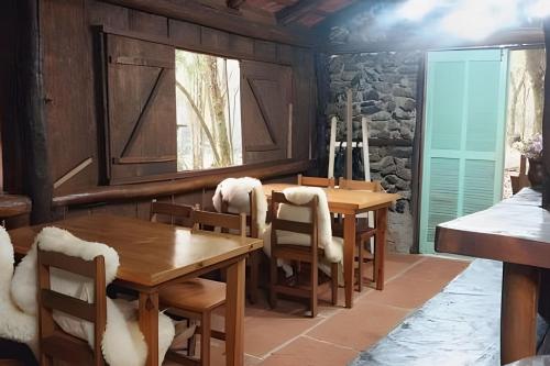 Cabana surucuã (Cabana surucua) in Tres Koroas