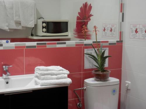 Hostal del Pez Azul - image 12