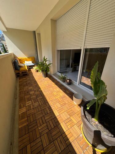 Appartement T1 bis calme proche du canal du midi