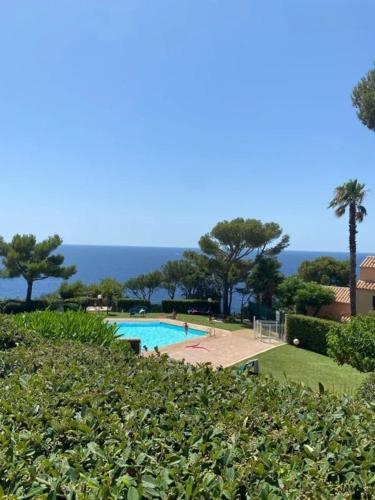 Appartement piscine plage familles - Location saisonnière - Saint-Mandrier-sur-Mer