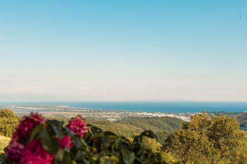 La VILLA DU REVE - image 5