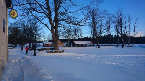 Bison Ranch