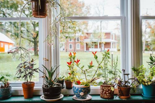 ห้องส่วนกลางสำหรับนั่งเล่น/ดูทีวี, Gite TerreCiel in ไบ-เซนต์-พอล (QC)