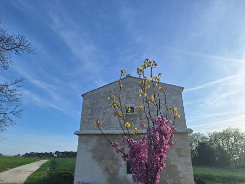 Logis de Bois Roche 3 Le Pigeonnier - Location saisonnière - Saint-Palais-sur-Mer