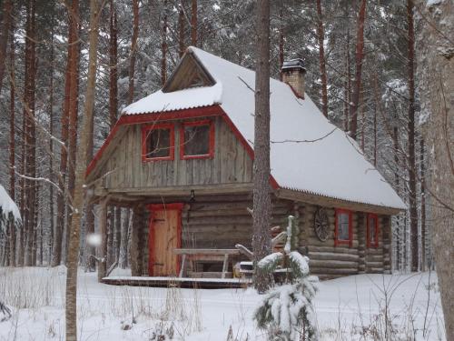 Järve Cottages - image 11