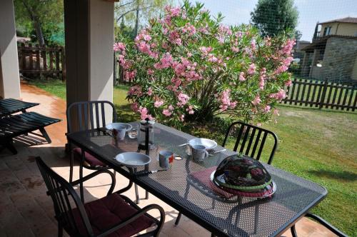 La Casina - pool and park in Chianni