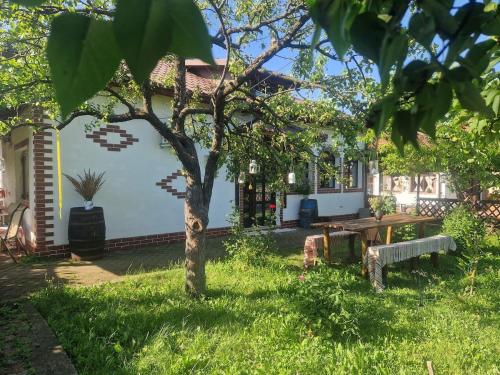 Casa Cuca Macai