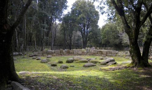 Sa Cerexia in Osini