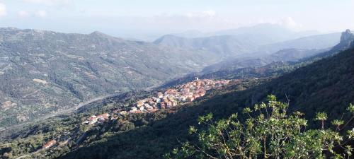 Sa Cerexia in Osini