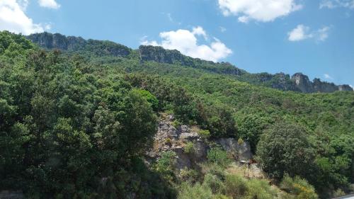 Sa Cerexia in Osini