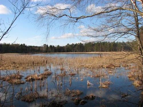 Järve Cottages