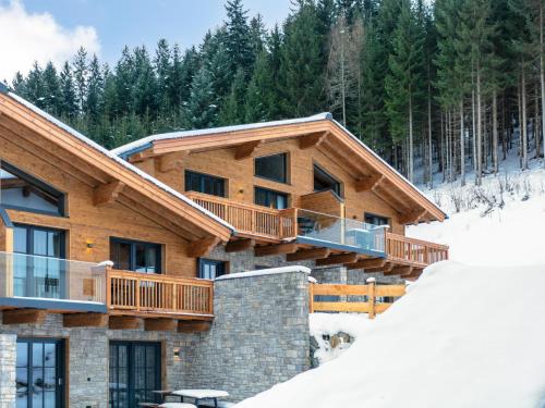Tauernlodge Eben D3