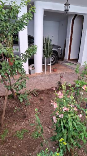 Casa Luminosa - image 5