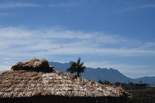 Airport Nest Inn Fiji - image 4