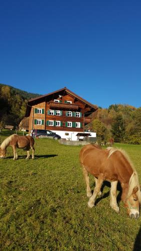 Haus Silke - Apartment - Silbertal