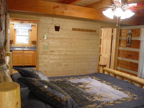 Wolf Creek - Secluded Log Cabin Overlooking Creek near Boone NC - image 8