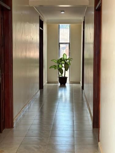 Tampa Trace Homes - image 2