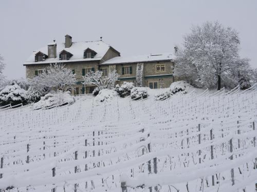 Domaine de Châteauvieux