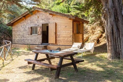 Сад, Azienda Agricola Club Le Cannelle in Таламоне