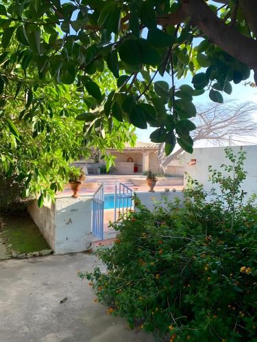 Finca Son Salvador - image 5