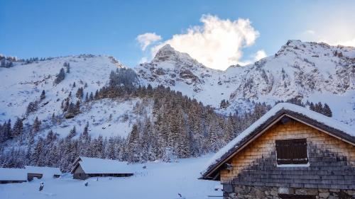 Zunanjost, Appartement chaleureux La Chapelle-d'Abondance 41 m² vue montagne in La Chapelle-d'Abondance