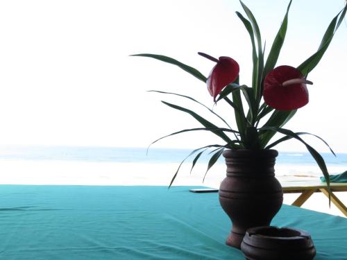 Mountain Wave Hotel and Surfshop – Hikkaduwa, CO