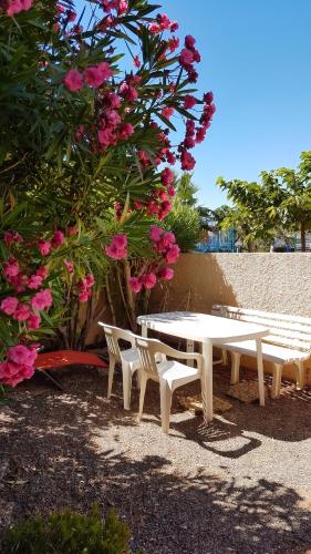 Appartement cosy à Port Leucate 44 m² avec terrasse et jardin