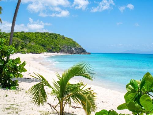 Studio agréable à Capesterre-de-Marie-Galante 25 m² vue mer (Studio agreable a Capesterre-de-Marie-Galante 25 m² vue mer) in กัปแตร์-เดอ-มารี-กาล็องต์